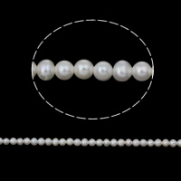 Perlas Patata Freshwater, Perlas cultivadas de agua dulce, natural, Blanco, 3-4mm, agujero:aproximado 0.8mm, longitud:aproximado 15.5 Inch, Vendido por Sarta