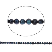 Perlas Patata Freshwater, Perlas cultivadas de agua dulce, Negro, 3-4mm, agujero:aproximado 0.8mm, longitud:aproximado 14.5 Inch, Vendido por Sarta