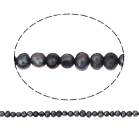 Perlas Patata Freshwater, Perlas cultivadas de agua dulce, Negro, 3-4mm, agujero:aproximado 0.8mm, longitud:aproximado 15 Inch, Vendido por Sarta