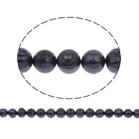 Perlas Patata Freshwater, Perlas cultivadas de agua dulce, Negro, 11-12mm, agujero:aproximado 0.8mm, longitud:aproximado 14.5 Inch, Vendido por Sarta
