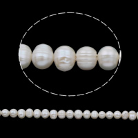Perlas Patata Freshwater, Perlas cultivadas de agua dulce, natural, Blanco, 7-8mm, agujero:aproximado 0.8mm, longitud:aproximado 14 Inch, Vendido por Sarta