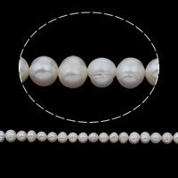 Potato Cultured Freshwater Pearl Beads, natural, white, 6-7mm Approx 0.8mm Approx 15 Inch 