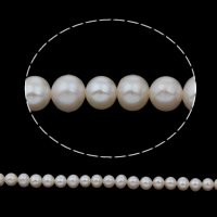 Round Cultured Freshwater Pearl Beads, Slightly Round, natural, white, 6-7mm Approx 0.8mm Approx 15 Inch 