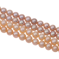 Round Cultured Freshwater Pearl Beads, Slightly Round, natural 7-8mm Approx 0.8mm Approx 14.5 Inch 