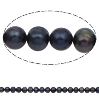 Perlas Patata Freshwater, Perlas cultivadas de agua dulce, Negro, 6-7mm, agujero:aproximado 0.8mm, longitud:aproximado 14.5 Inch, Vendido por Sarta