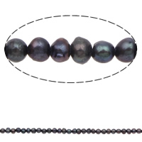 Perlas Patata Freshwater, Perlas cultivadas de agua dulce, Negro, 2-3mm, agujero:aproximado 0.8mm, longitud:aproximado 15 Inch, Vendido por Sarta