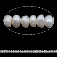 Bouton de culture des perles d'eau douce, perle d'eau douce cultivée, naturel, blanc, 2-3mm Environ 0.8mm Environ 15 pouce, Vendu par brin