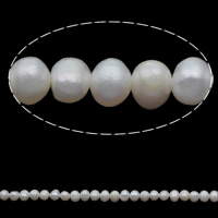 Perle comme Pommes de terre perles d'eau douce, perle d'eau douce cultivée, pomme de terre, naturel, blanc, 2-3mm Environ 0.8mm Environ 15 pouce, Vendu par brin