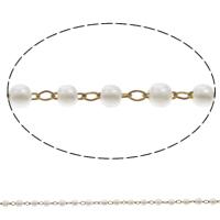 ABS Plastic Pearl Beaded Chain, with Brass, Round, plated, handmade 3mm 