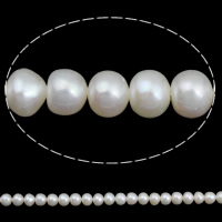 Bouton de culture des perles d'eau douce, perle d'eau douce cultivée, naturel, blanc, 5-6mm Environ 0.8mm Environ 15.5 pouce, Vendu par brin