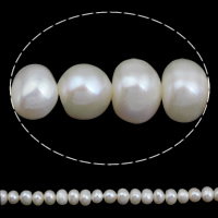 Bouton de culture des perles d'eau douce, perle d'eau douce cultivée, naturel, blanc, 7-8mm Environ 0.8mm Environ 15.5 pouce, Vendu par brin