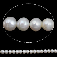 Perlas Botón Freshwater , Perlas cultivadas de agua dulce, natural, Blanco, 9-10mm, agujero:aproximado 0.8mm, longitud:aproximado 15 Inch, Vendido por Sarta