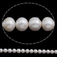 Perlas Patata Freshwater, Perlas cultivadas de agua dulce, natural, Blanco, 12-15mm, agujero:aproximado 0.8mm, longitud:aproximado 15 Inch, Vendido por Sarta