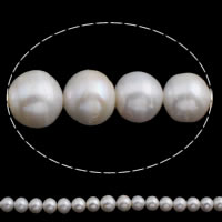 Perle comme Pommes de terre perles d'eau douce, perle d'eau douce cultivée, pomme de terre, naturel, blanc, 12-14mm Environ 0.8mm Environ 15 pouce, Vendu par brin
