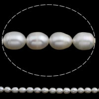Perles d'eau douce de culture de riz, perle d'eau douce cultivée, naturel, blanc, 8-9mm Environ 0.8mm Environ 14.5 pouce, Vendu par brin