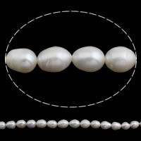 Perles d'eau douce de culture de riz, perle d'eau douce cultivée, naturel, blanc, 10-11mm Environ 0.8mm Environ 15 pouce, Vendu par brin