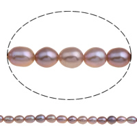 Perlas Arroz Freshwater, Perlas cultivadas de agua dulce, natural, Púrpura, 5-6mm, agujero:aproximado 0.8mm, longitud:aproximado 14.5 Inch, Vendido por Sarta