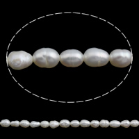 Perles nacres baroques de culture d'eau douce , perle d'eau douce cultivée, riz, naturel, blanc, 3-4mm Environ 0.8mm Environ 15 pouce, Vendu par brin