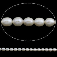 Perles d'eau douce de culture de riz, perle d'eau douce cultivée, naturel, blanc, 7-8mm Environ 0.8mm Environ 14.5 pouce, Vendu par brin