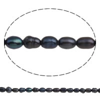Barock kultivierten Süßwassersee Perlen, Natürliche kultivierte Süßwasserperlen, schwarz, 3-4mm, Bohrung:ca. 0.8mm, Länge:ca. 14.5 ZollInch, verkauft von Strang