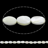 Natürliche weiße Muschelperlen, flachoval, 12x8x3mm-13x8x5mm, Bohrung:ca. 1mm, Länge:ca. 15.5 ZollInch, ca. 36PCs/Strang, verkauft von Strang