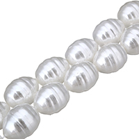 South Sea Shell Beads, Oval, natural, white Approx 0.1mm Approx 16 Inch, Approx 