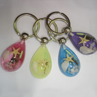 Resin Key Chain, with Zinc Alloy, Teardrop, platinum color plated, ocean design & colorful powder, mixed colors 