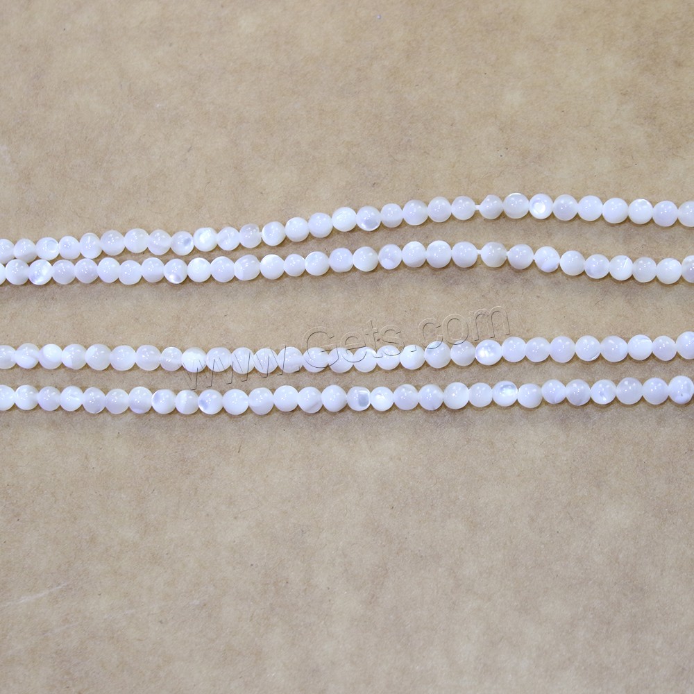 Perles en coquillage blanc naturel, coquille blanche, Rond, normes différentes pour le choix, Trou:Environ 0.5mm, Longueur:Environ 16 pouce, Vendu par brin