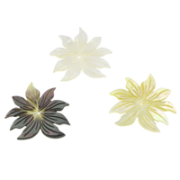 Perles en coquille naturel, fleur, différents matériaux pour le choix & sculpté Environ 1mm, Vendu par PC