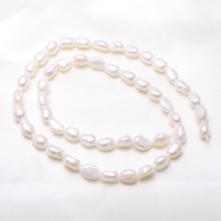 Baroque Cultured Freshwater Pearl Beads, natural, white, 5-6mm Approx 0.8mm Approx 15 Inch 
