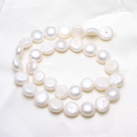 Bouton de culture des perles d'eau douce, perle d'eau douce cultivée, naturel, blanc, 12-13mm Environ 0.8mm Environ 15.5 pouce, Vendu par brin