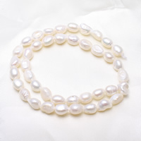 Baroque Cultured Freshwater Pearl Beads, natural, white, 7-8mm Approx 0.8mm Approx 15 Inch 