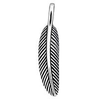 Stainless Steel Feather Pendant, blacken Approx 