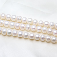 Bouton de culture des perles d'eau douce, perle d'eau douce cultivée, naturel, blanc, 9-10mm Environ 0.8mm Environ 15.7 pouce, Vendu par brin