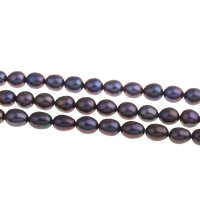 Rice Cultured Freshwater Pearl Beads, natural, dark purple, Grade A, 7-8mm Approx 0.8mm Approx 15 Inch 