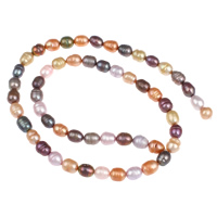 Rice Cultured Freshwater Pearl Beads, mixed colors, 5-6mm Approx 0.8mm Approx 15.5 Inch 