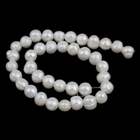 Perlas Patata Freshwater, Perlas cultivadas de agua dulce, natural, Blanco, 11-12mm, agujero:aproximado 2.5mm, longitud:aproximado 14.3 Inch, Vendido por Sarta