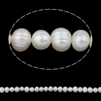 Perlas Patata Freshwater, Perlas cultivadas de agua dulce, natural, Blanco, 5-6mm, agujero:aproximado 0.8mm, longitud:aproximado 15.5 Inch, Vendido por Sarta