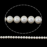 Potato Cultured Freshwater Pearl Beads, natural, white, Grade AA, 10-11mm Approx 0.8mm Approx 15.5 Inch 