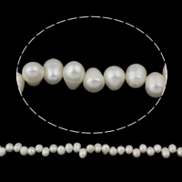 Bouton de culture des perles d'eau douce, perle d'eau douce cultivée, baroque, naturel, blanc, 10-11mm Environ 0.8mm Environ 14.5 pouce, Vendu par brin
