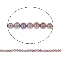 Potato Cultured Freshwater Pearl Beads, natural, purple, Grade AA, 7-8mm Approx 0.8mm Approx 15 Inch 