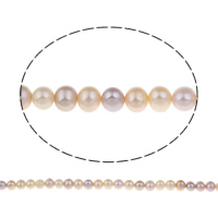 Potato Cultured Freshwater Pearl Beads, natural, Grade AA, 7-8mm Approx 0.8mm Approx 14.5 Inch 