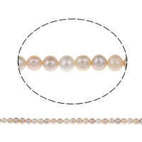 Potato Cultured Freshwater Pearl Beads, natural, Grade AAA, 8-9mm Approx 0.8mm Approx 15 Inch 