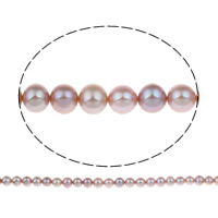 Potato Cultured Freshwater Pearl Beads, natural, purple, Grade AAA, 9-10mm Approx 0.8mm Approx 15.5 Inch 