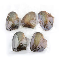 Freshwater Cultured Love Wish Pearl Oyster, Shell, with Freshwater Pearl, Shell, mother of Pearl 