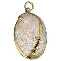 Trumpet Shell Pendant, with Brass, Flat Oval, gold color plated Approx 4mm 