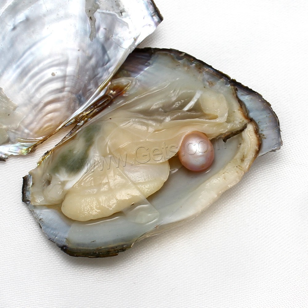 Süßwasser kultiviert Liebe Wunsch Pearl Oyster, Perlen, Perlmutt & verschiedene Größen vorhanden, keine, verkauft von PC