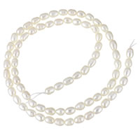 Rice Cultured Freshwater Pearl Beads, natural, white, 3-4mm Approx 0.8mm Approx 15 Inch 