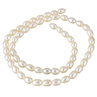 Rice Cultured Freshwater Pearl Beads, natural, white, 5-6mm Approx 0.8mm Approx 15 Inch 