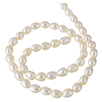 Perlas Patata Freshwater, Perlas cultivadas de agua dulce, natural, Blanco, 6-7mm, agujero:aproximado 0.8mm, longitud:aproximado 15.5 Inch, Vendido por Sarta